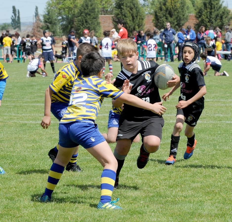 Fotos: Deporte Base del 25 y 26 de Mayo. Valladolid (3/3)