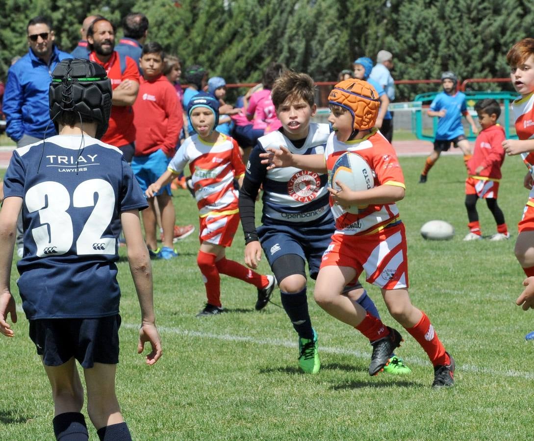 Fotos: Deporte Base del 25 y 26 de Mayo. Valladolid (3/3)