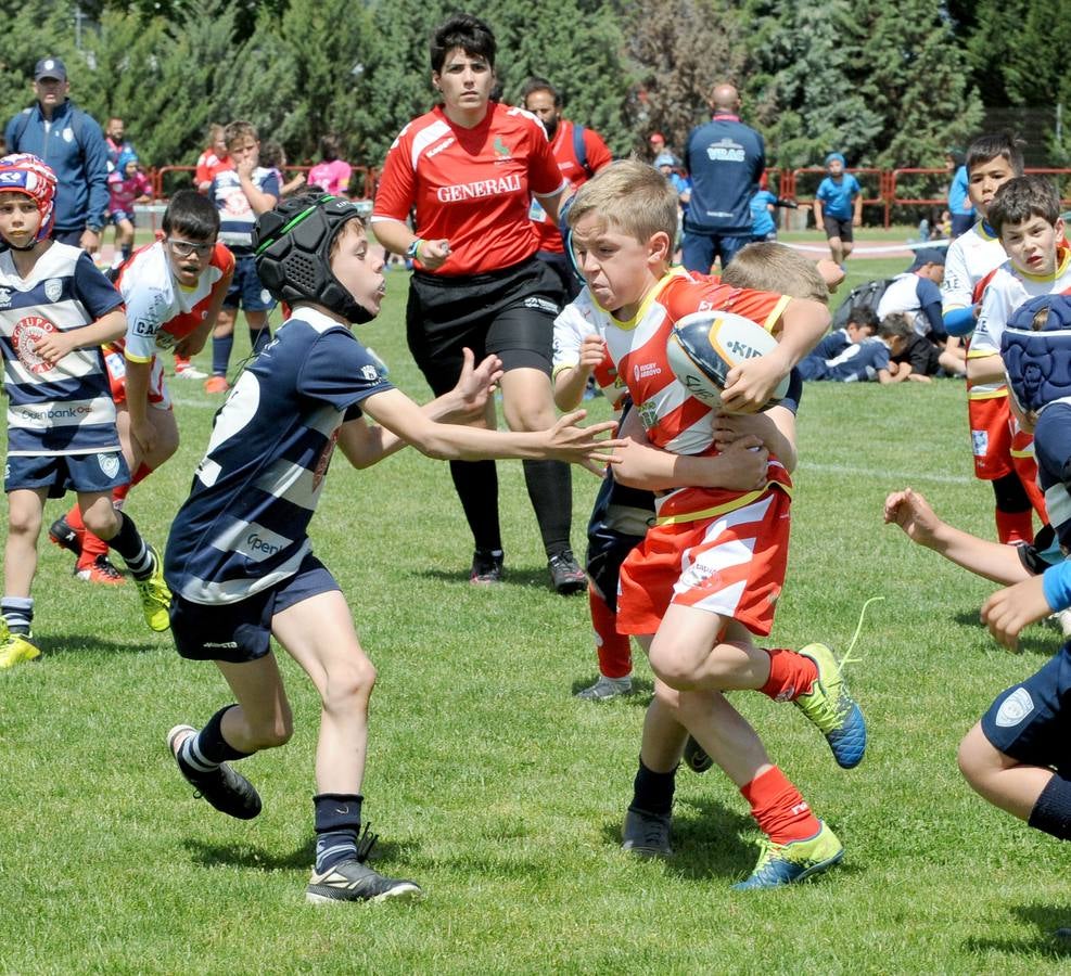 Fotos: Deporte Base del 25 y 26 de Mayo. Valladolid (3/3)