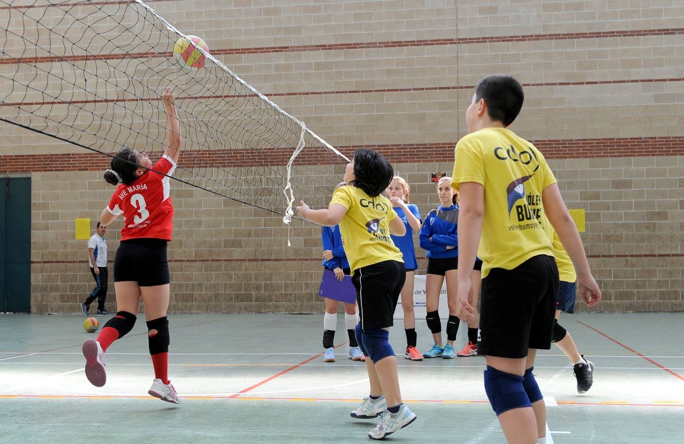 Fotos: Deporte Base del 25 y 26 de Mayo. Valladolid (3/3)