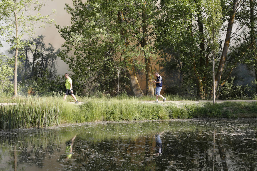 Fotos: Nuevo incendio por pelusas en la darsena del canal