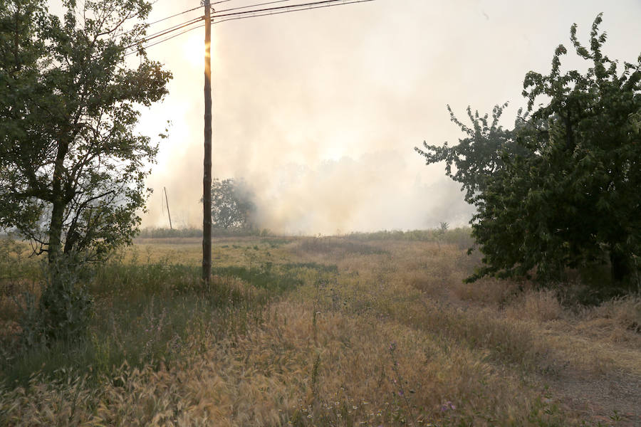 Fotos: Nuevo incendio por pelusas en la darsena del canal