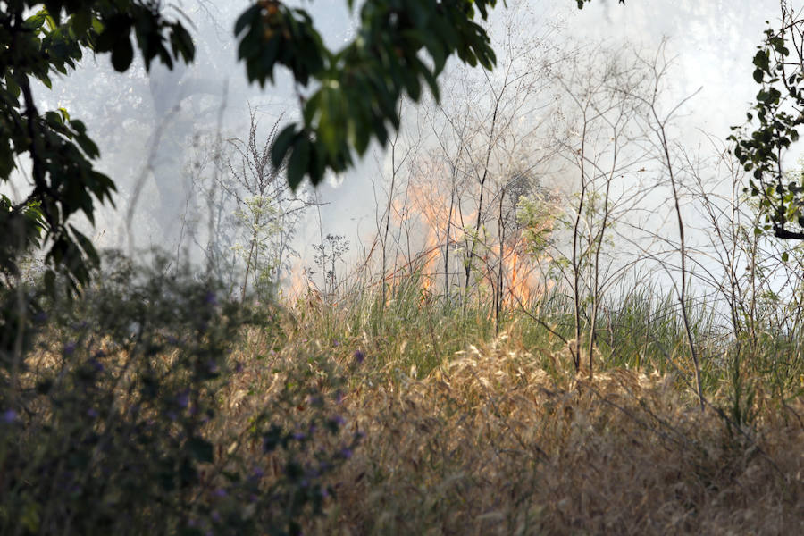 Fotos: Nuevo incendio por pelusas en la darsena del canal