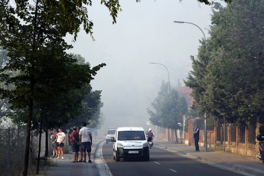 Fotos: Nuevo incendio por pelusas en la darsena del canal