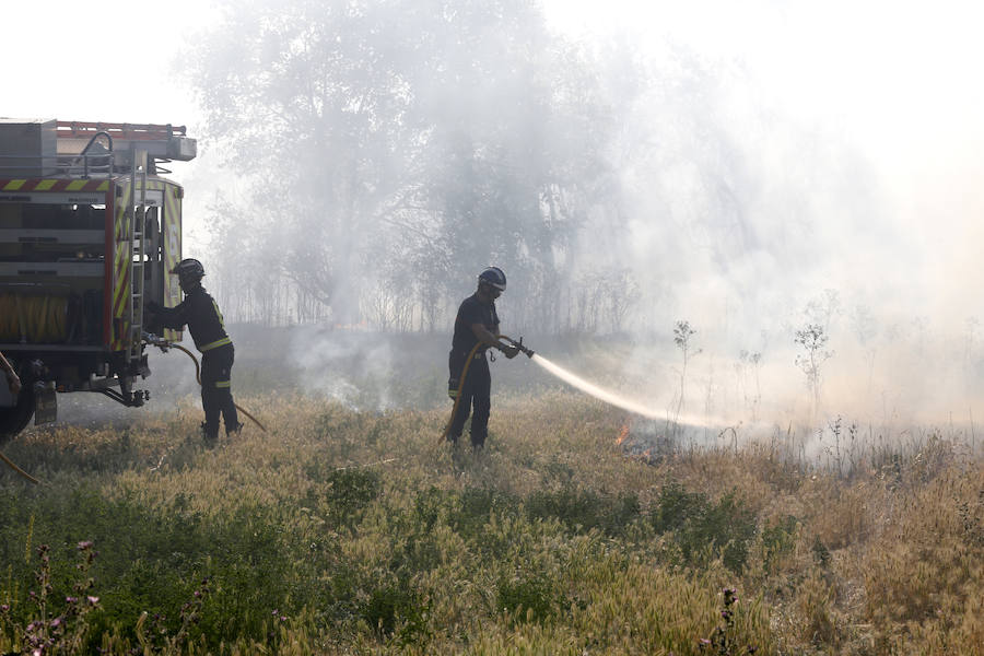 Fotos: Nuevo incendio por pelusas en la darsena del canal