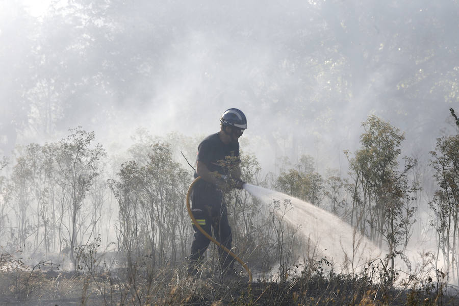 Fotos: Nuevo incendio por pelusas en la darsena del canal