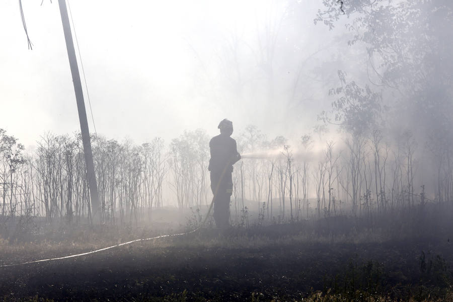Fotos: Nuevo incendio por pelusas en la darsena del canal