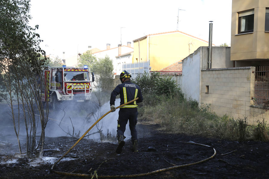 Fotos: Nuevo incendio por pelusas en la darsena del canal