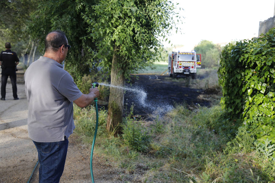 Fotos: Nuevo incendio por pelusas en la darsena del canal