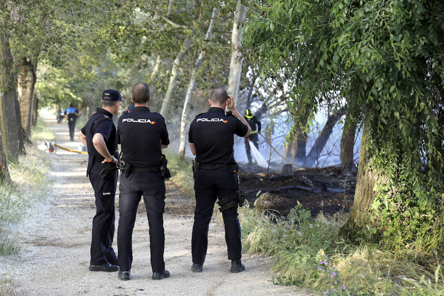Fotos: Nuevo incendio por pelusas en la darsena del canal