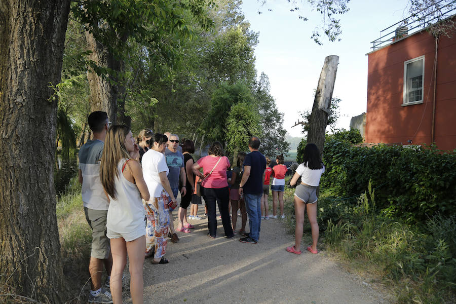 Fotos: Nuevo incendio por pelusas en la darsena del canal