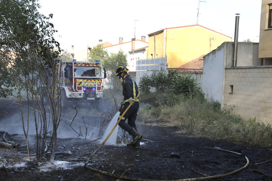 Fotos: Nuevo incendio por pelusas en la darsena del canal