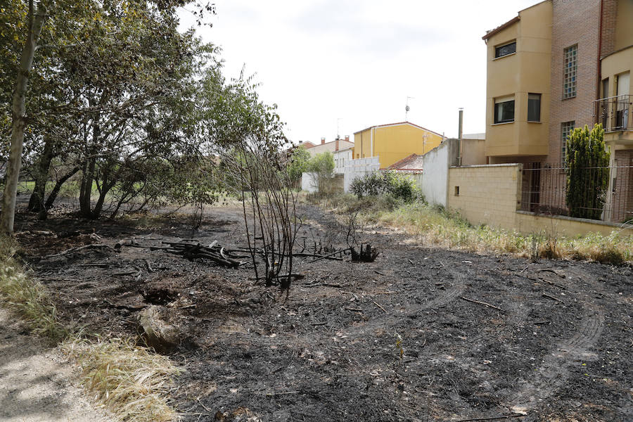 La Fiscalía de Palencia advierte de que la quema de pelusas puede acarrear penas de cárcel