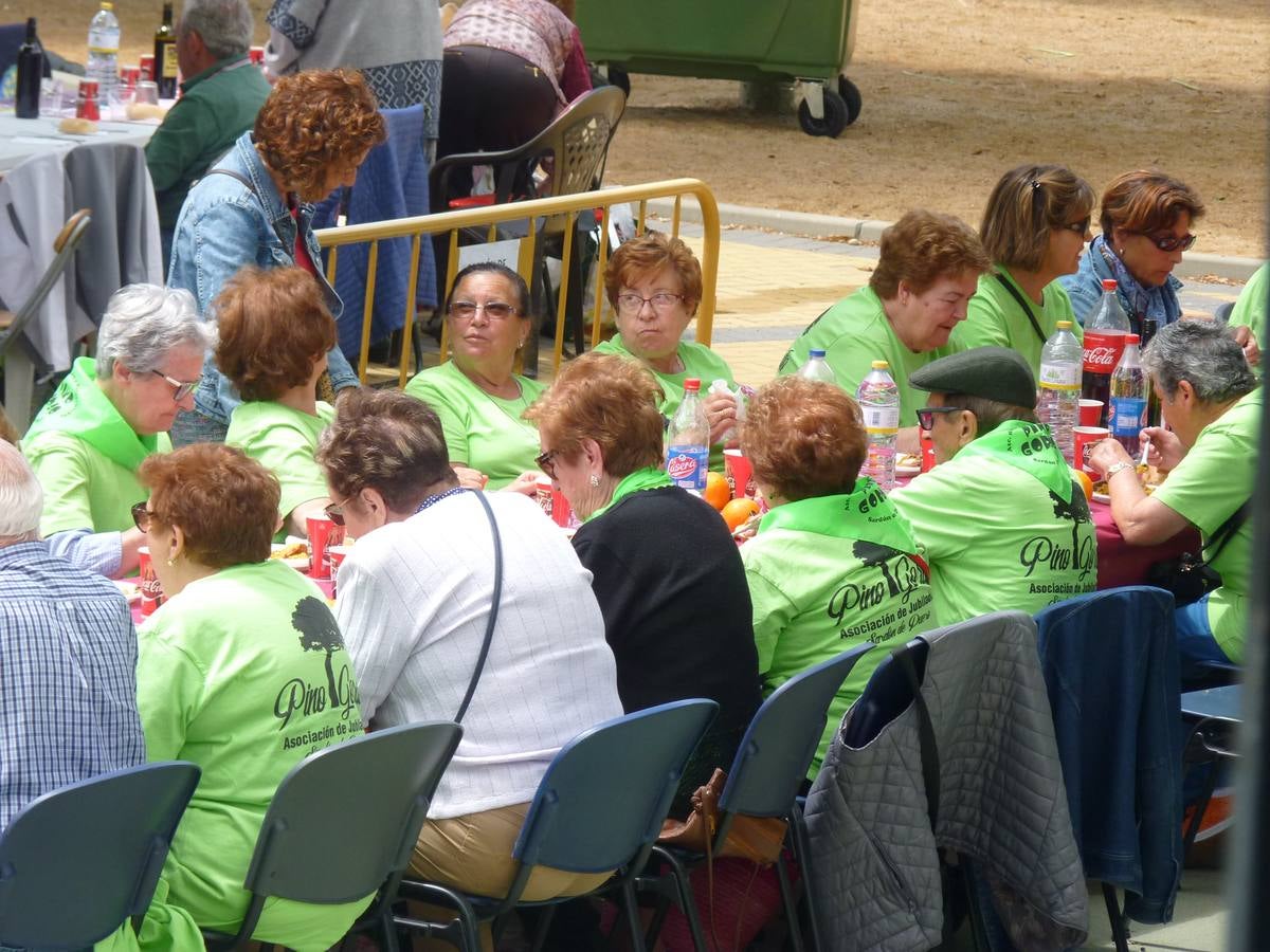 Es la edición número 26 de una cita que, todas las primaveras, reúne a cientos de mayores (en esta, 609) en una cita festiva que, además, sirve para reivindicar el papel que juegan los mayores en el medio rural