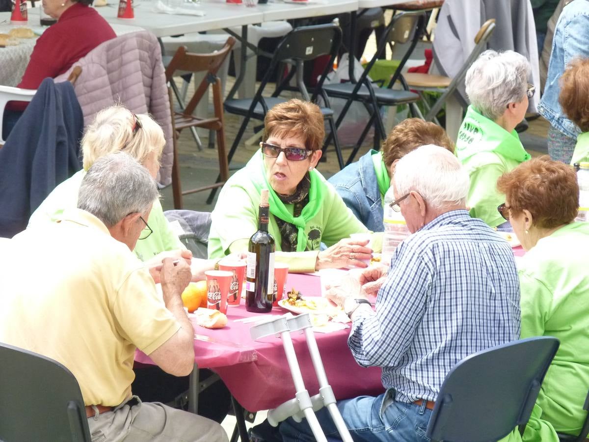 Es la edición número 26 de una cita que, todas las primaveras, reúne a cientos de mayores (en esta, 609) en una cita festiva que, además, sirve para reivindicar el papel que juegan los mayores en el medio rural