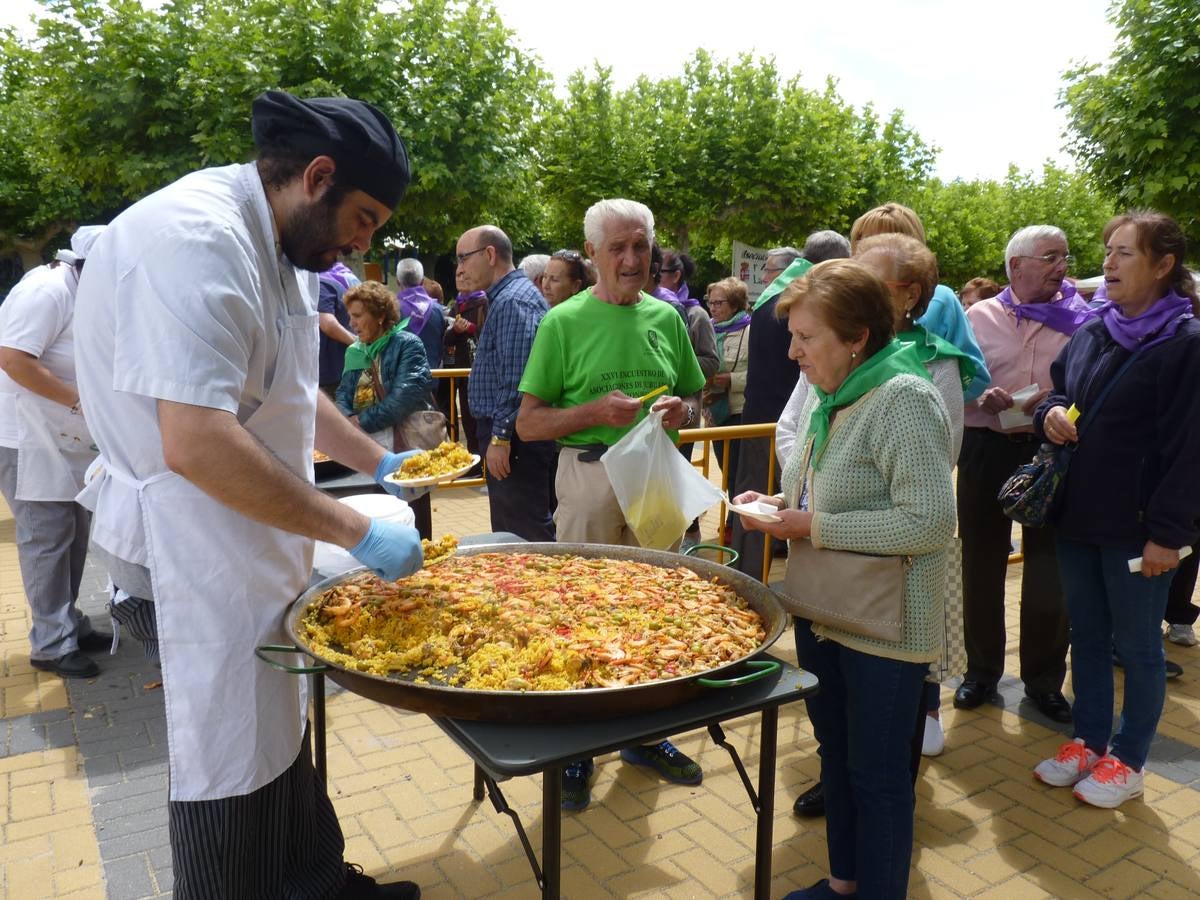 Es la edición número 26 de una cita que, todas las primaveras, reúne a cientos de mayores (en esta, 609) en una cita festiva que, además, sirve para reivindicar el papel que juegan los mayores en el medio rural