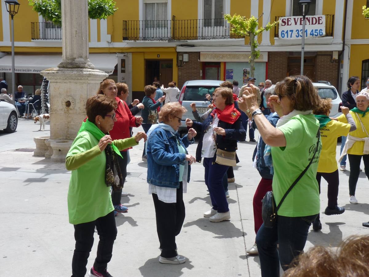 Es la edición número 26 de una cita que, todas las primaveras, reúne a cientos de mayores (en esta, 609) en una cita festiva que, además, sirve para reivindicar el papel que juegan los mayores en el medio rural