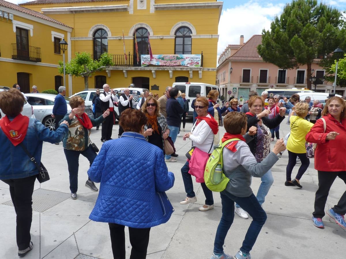 Es la edición número 26 de una cita que, todas las primaveras, reúne a cientos de mayores (en esta, 609) en una cita festiva que, además, sirve para reivindicar el papel que juegan los mayores en el medio rural