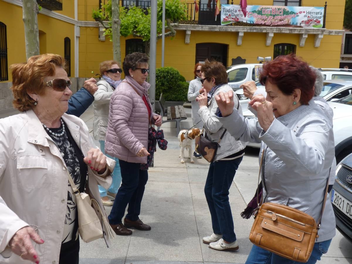 Es la edición número 26 de una cita que, todas las primaveras, reúne a cientos de mayores (en esta, 609) en una cita festiva que, además, sirve para reivindicar el papel que juegan los mayores en el medio rural