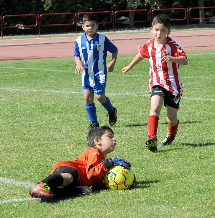 Fotos: Deporte Base del 1 y 2 de junio. Valladolid (2/2)