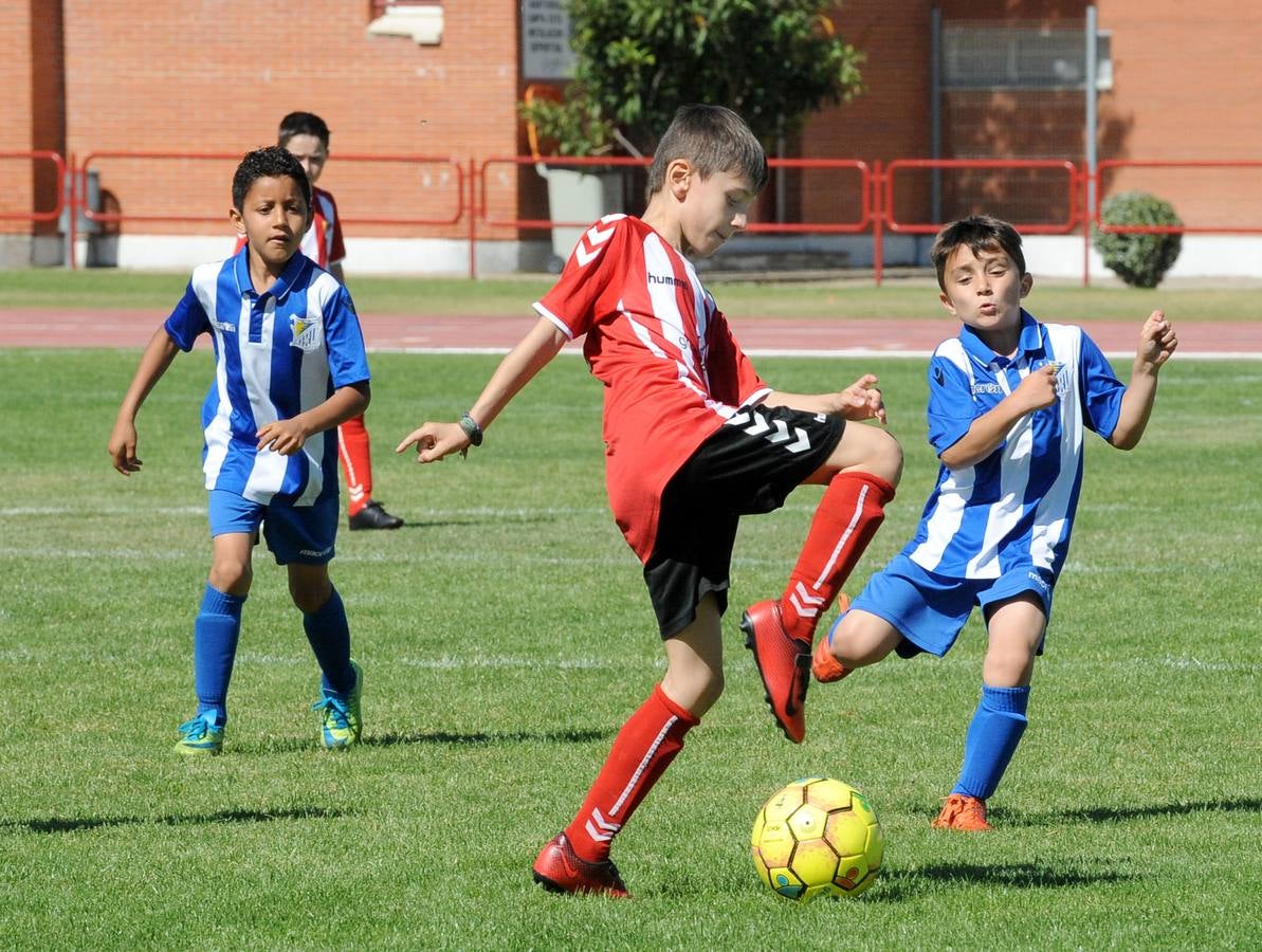 Fotos: Deporte Base del 1 y 2 de junio. Valladolid (2/2)