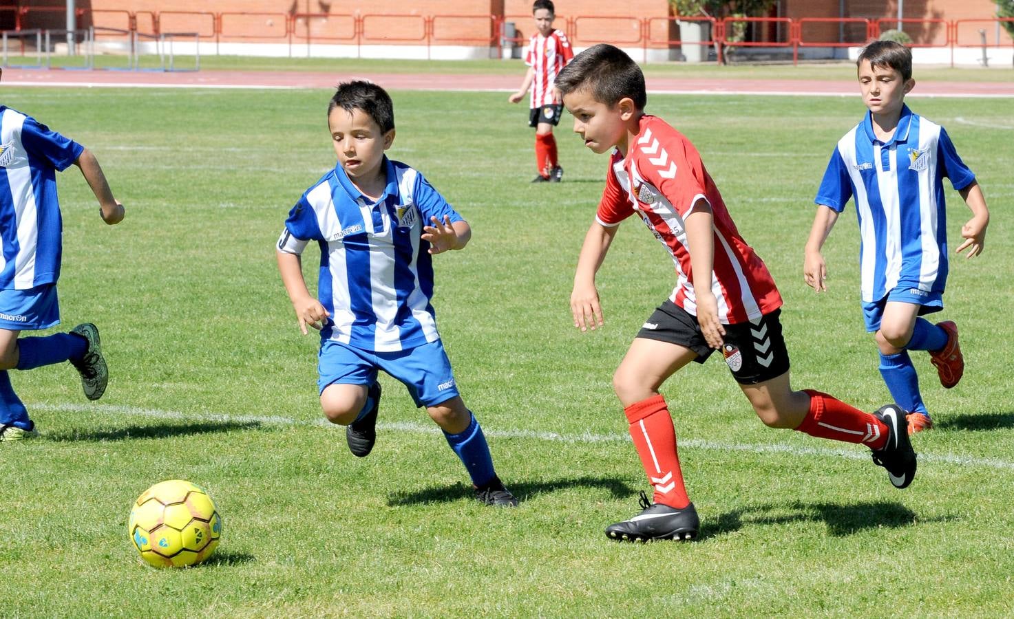 Fotos: Deporte Base del 1 y 2 de junio. Valladolid (2/2)