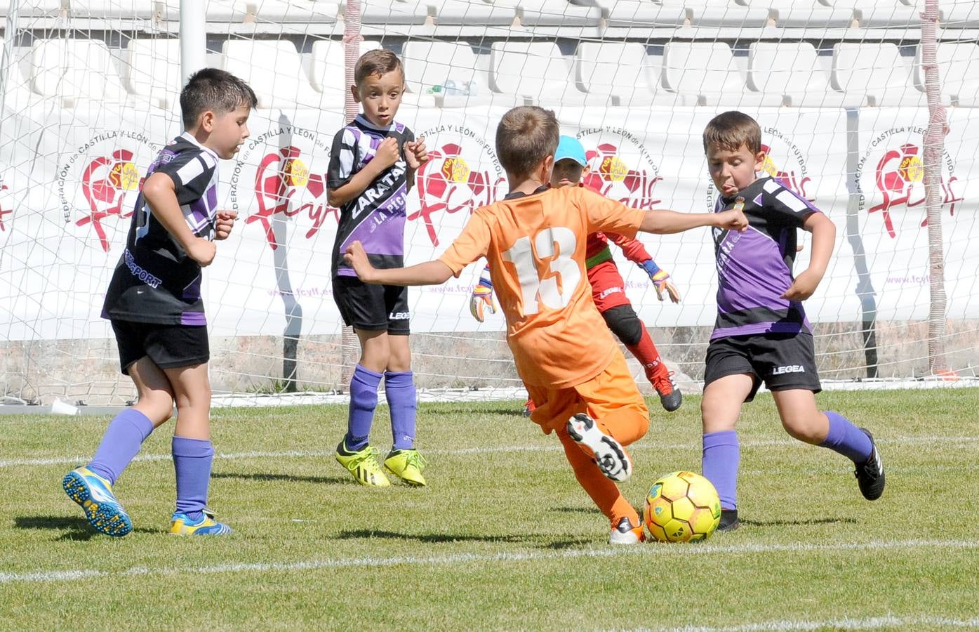 Fotos: Deporte Base del 1 y 2 de junio. Valladolid (2/2)