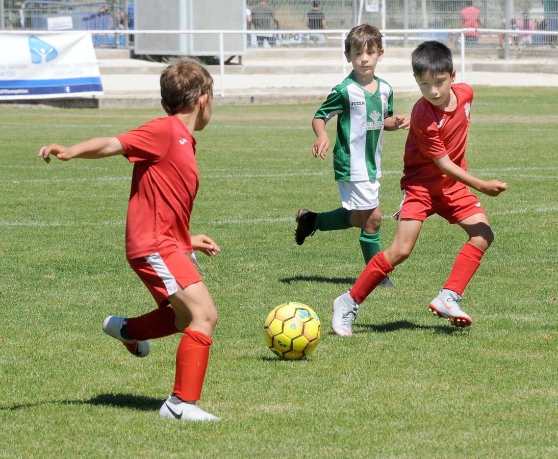 Fotos: Deporte Base del 1 y 2 de junio. Valladolid (2/2)