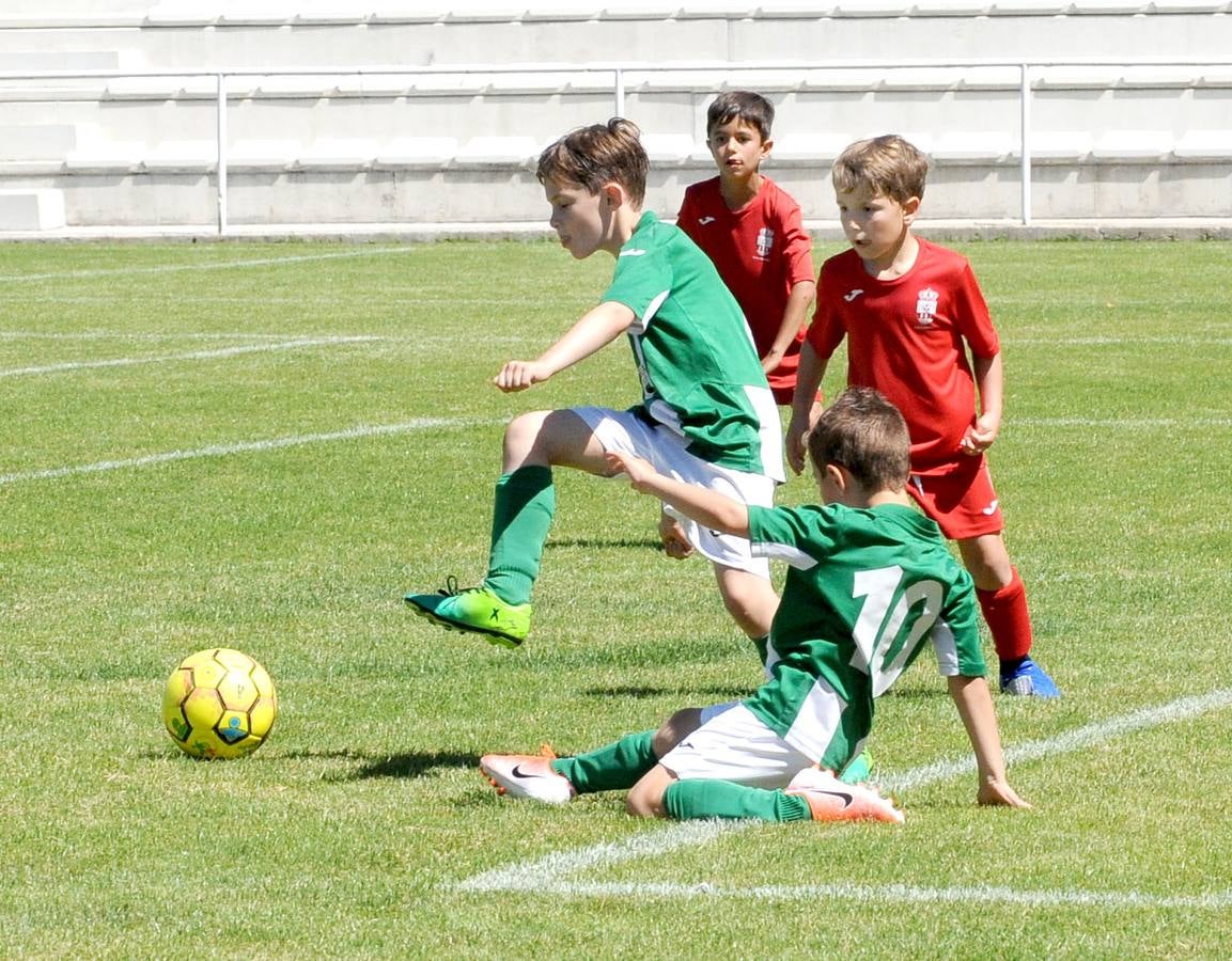 Fotos: Deporte Base del 1 y 2 de junio. Valladolid (2/2)