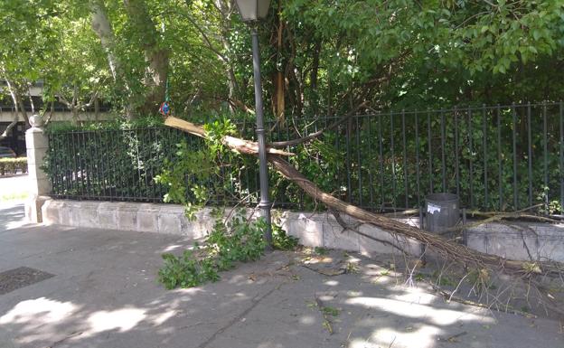 La Policía de Valladolid cierra el parque Campo Grande, donde se ha caído una rama. 