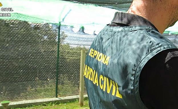 Un agente del Seprona. 