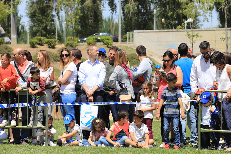 Fotos: Exhibición militar en Salamanca en el día de las Fuerzas Armadas (1/2)