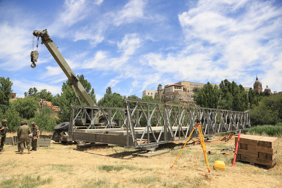 Fotos: Exhibición militar en Salamanca en el día de las Fuerzas Armadas (1/2)