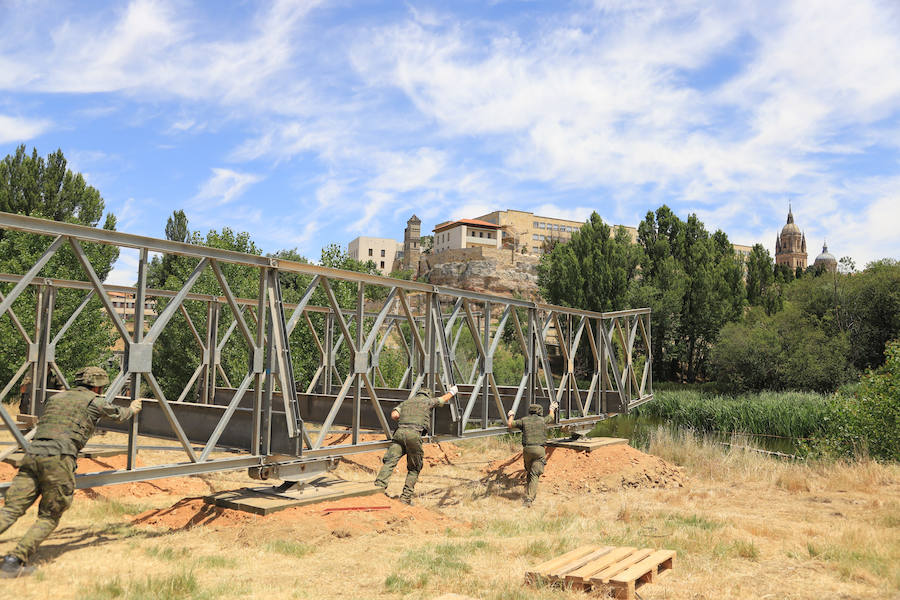 Fotos: Exhibición militar en Salamanca en el día de las Fuerzas Armadas (1/2)