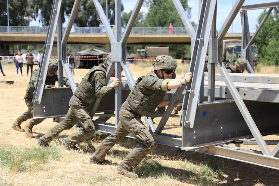 Fotos: Exhibición militar en Salamanca en el día de las Fuerzas Armadas (1/2)