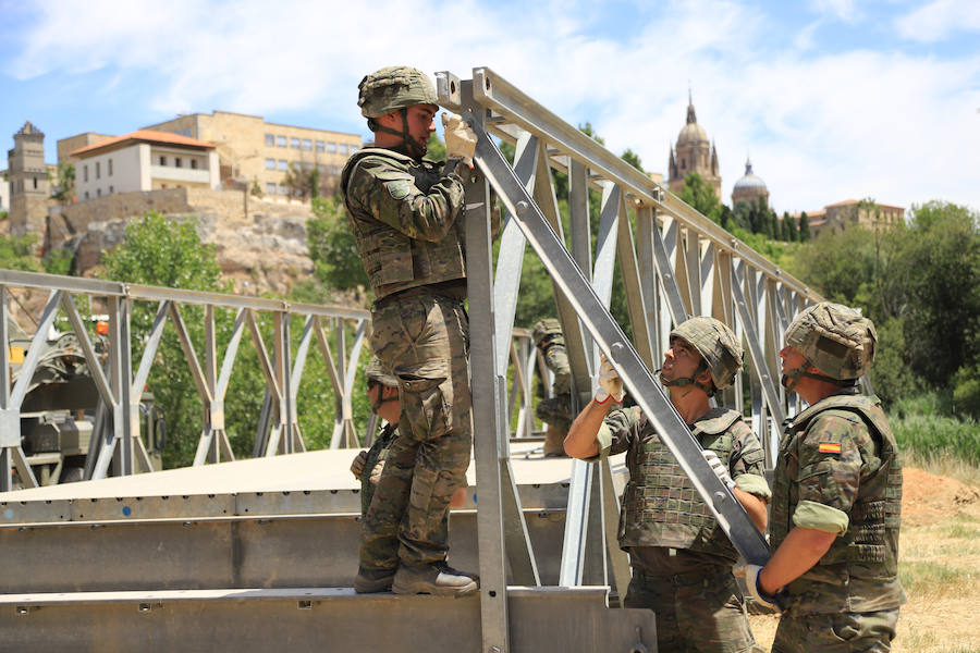 Fotos: Exhibición militar en Salamanca en el día de las Fuerzas Armadas (1/2)