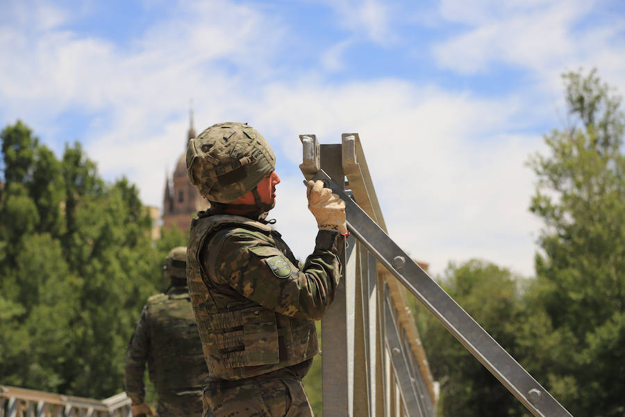 Fotos: Exhibición militar en Salamanca en el día de las Fuerzas Armadas (1/2)