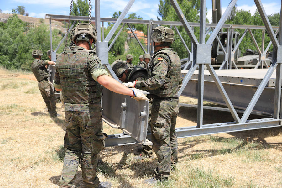 Fotos: Exhibición militar en Salamanca en el día de las Fuerzas Armadas (1/2)