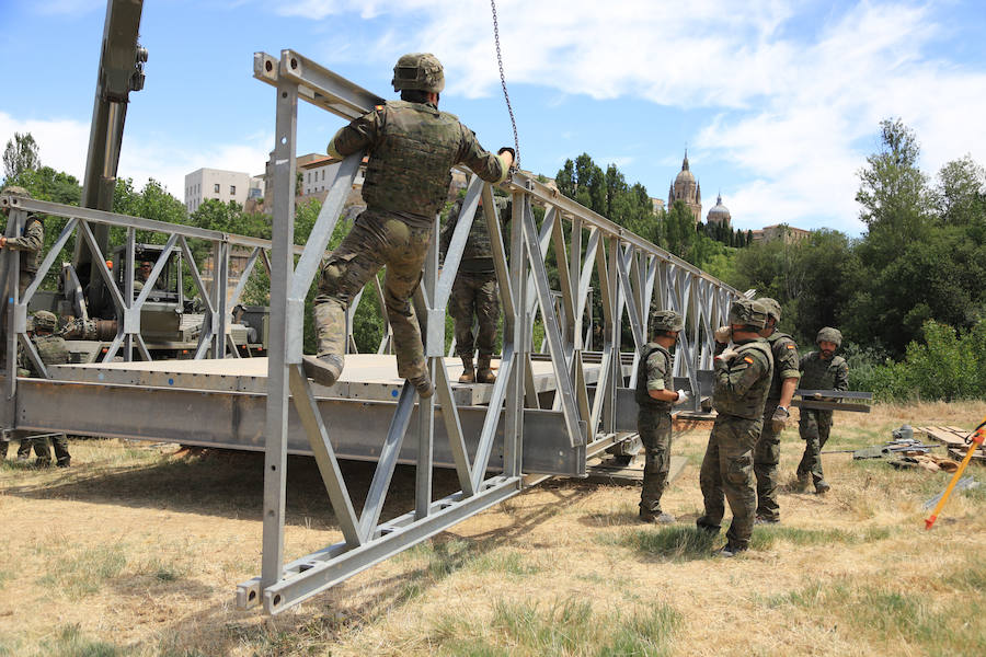 Fotos: Exhibición militar en Salamanca en el día de las Fuerzas Armadas (1/2)