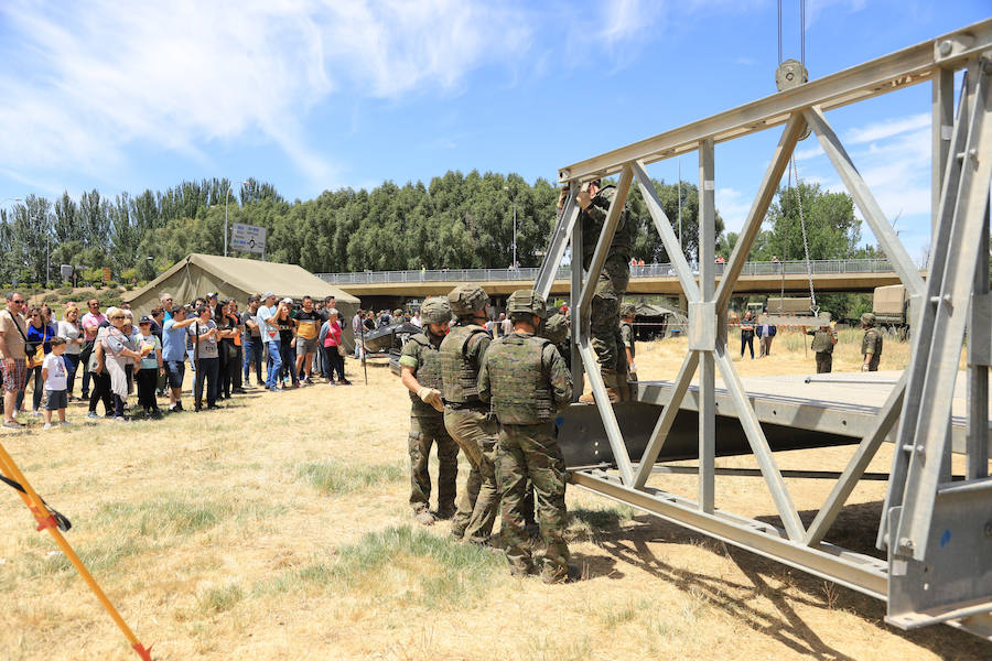 Fotos: Exhibición militar en Salamanca en el día de las Fuerzas Armadas (2/2)