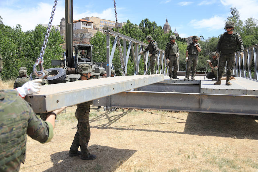 Fotos: Exhibición militar en Salamanca en el día de las Fuerzas Armadas (2/2)