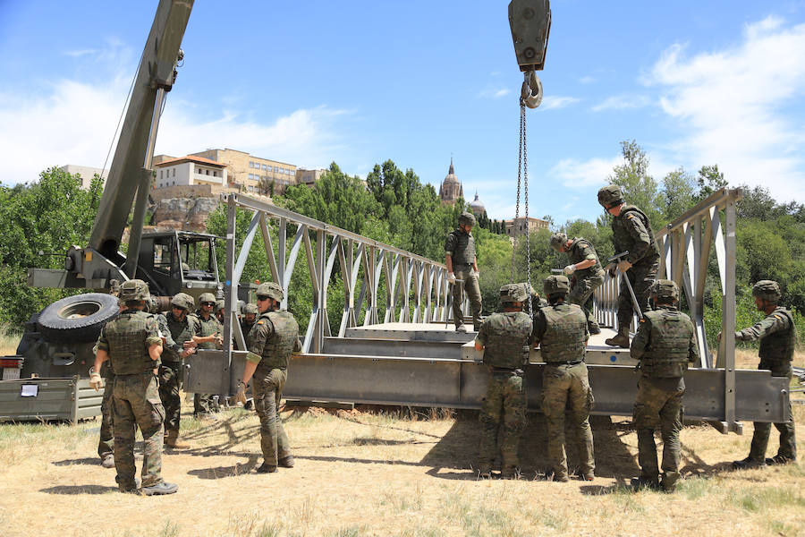 Fotos: Exhibición militar en Salamanca en el día de las Fuerzas Armadas (2/2)