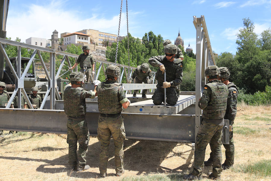 Fotos: Exhibición militar en Salamanca en el día de las Fuerzas Armadas (2/2)