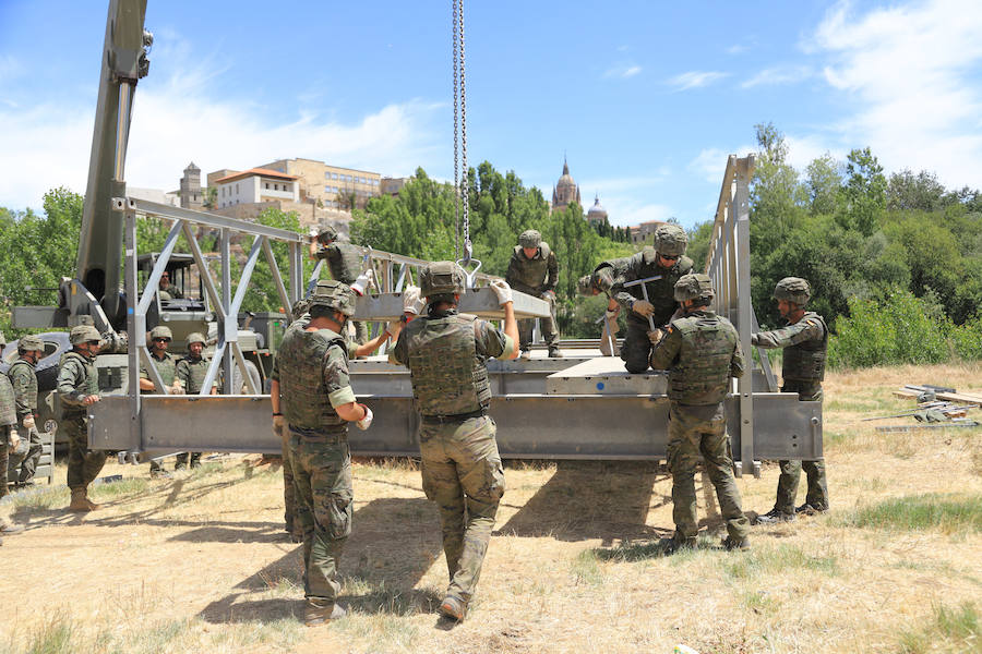 Fotos: Exhibición militar en Salamanca en el día de las Fuerzas Armadas (2/2)