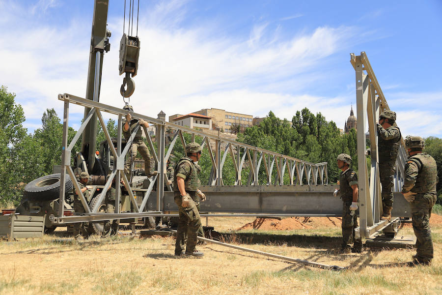 Fotos: Exhibición militar en Salamanca en el día de las Fuerzas Armadas (2/2)