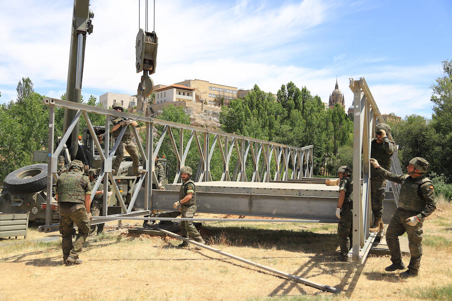 Fotos: Exhibición militar en Salamanca en el día de las Fuerzas Armadas (2/2)