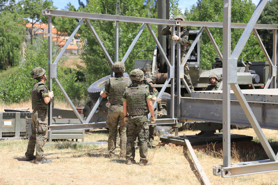 Fotos: Exhibición militar en Salamanca en el día de las Fuerzas Armadas (2/2)
