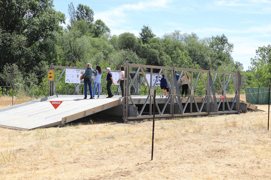 Fotos: Exhibición militar en Salamanca en el día de las Fuerzas Armadas (2/2)