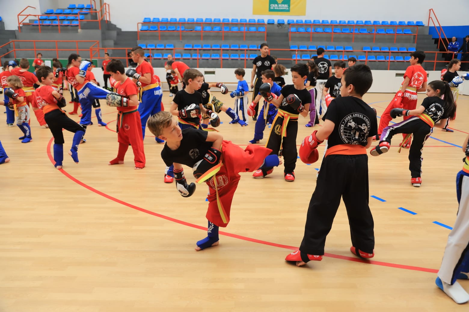 Fotos: Graduación del Kickboxing Salmantino