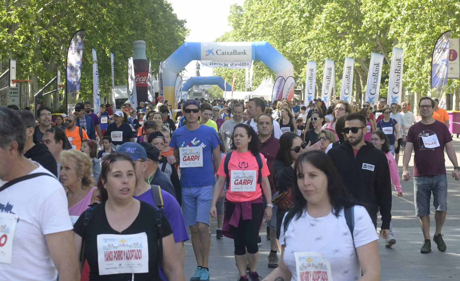 Más de 1.500 personas se han inscrito en esta marcha popular organizada de manera conjunta por El Norte de Castilla y por la Federación de Atletismo de Castilla y León con el espíritu de recorrer los algo más de cinco kilómetros del trazado por las calles más emblemáticas de la ciudad 